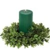 Green Leaf Candle Ring - Boxwood - Green - 4.5in