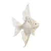 Christmas Ornament - White & Gold Angelfish - 10in