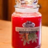 Christmas Tree Hill Candle - Cinnamon Balsam - 26oz