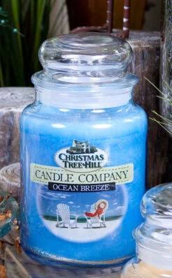 Christmas Tree Hill Candle - Ocean Breeze - 26oz