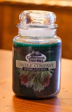 Christmas Tree Hill Candle - Woodland Pine - 26oz