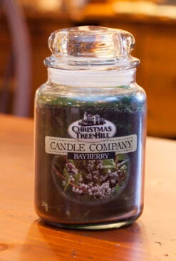 Christmas Tree Hill Candle - Bayberry - 26oz