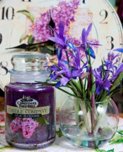 Christmas Tree Hill Candle - Lilac Blossoms - 26oz