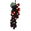 Electric Light Set - Warm White LED - Burgundy Grape Clusters