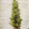 Long Needle Pine Twig Tree - Table Top Christmas Tree - 3 Foot