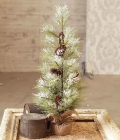 Long Needle Snowy Pine Tree With Cones - Table Top Tree - 2 Foot