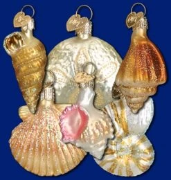 Old World Christmas Glass Ornament - Sea Shell Set Of 6