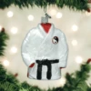 Old World Christmas Glass Ornament - Martial Arts