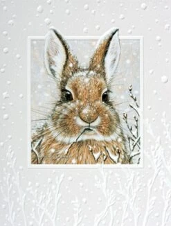Petite Boxed Christmas Cards - "Cool Cotton Tail"
